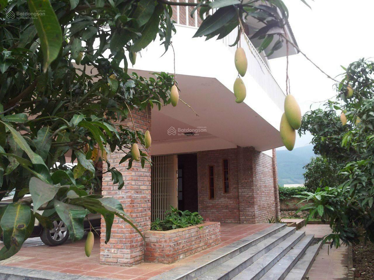 20240612024656-e1b6_wm