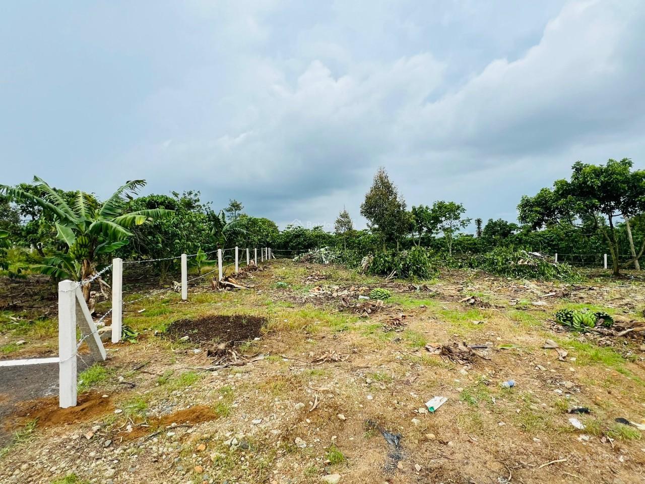 20240618165442-0f9f_wm