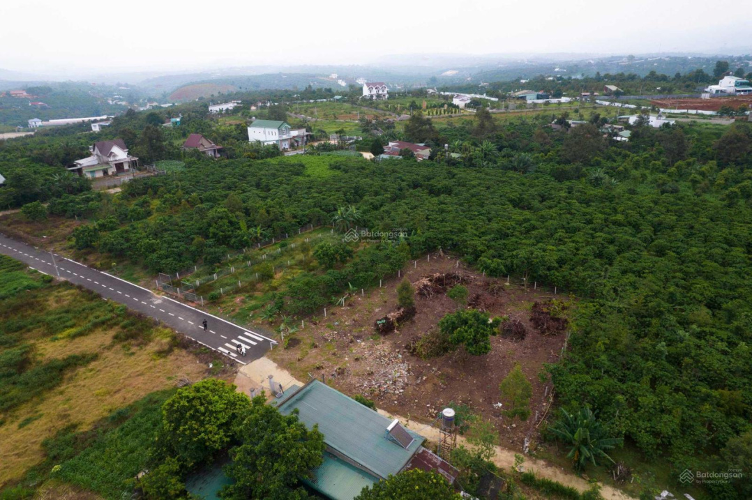 20240624115130-b078_wm